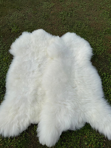 50 Stück Natur Schaffelle – Ökologisch gegerbt, XL