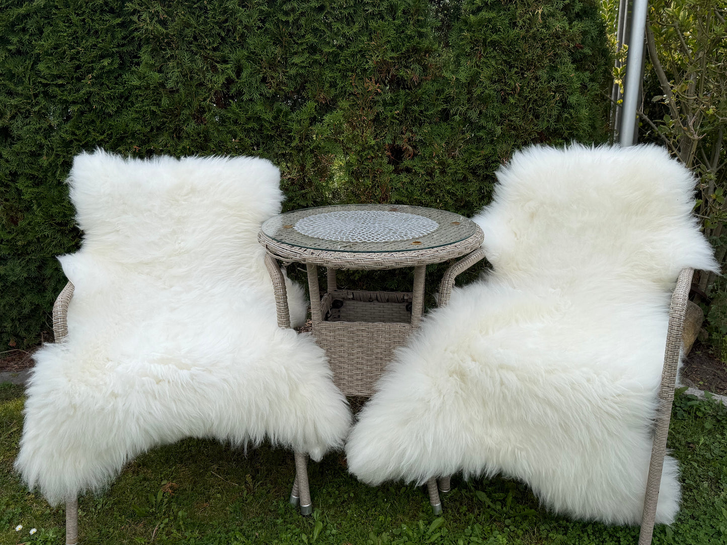 2er Set Natur Schaffelle – Ökologisch gegerbt, XL, Naturweiß , 120x80cm